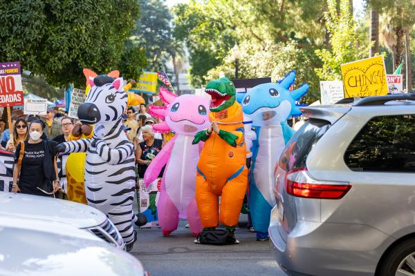 Top 10 déguisements gonflables pour animer vos fêtes