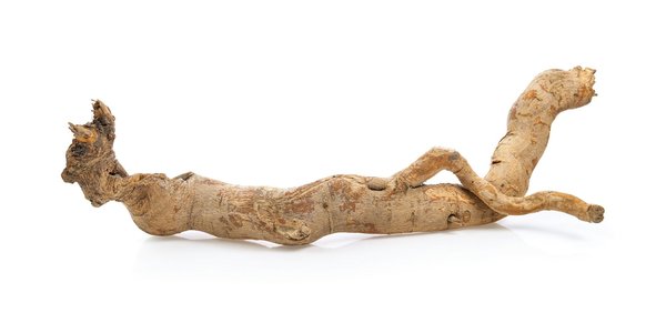 Tongkat Ali : un aliment qui convient parfaitement aux athlètes