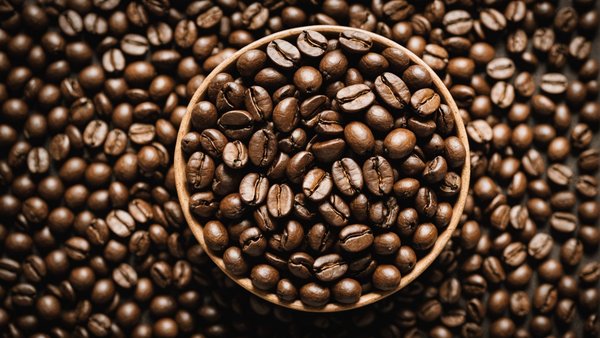 Tout savoir sur les grains de specialty coffee